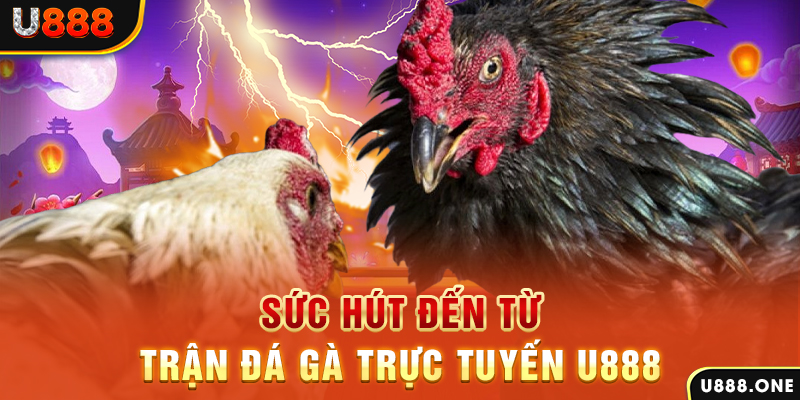 23wim đá gà trực tiếp c1