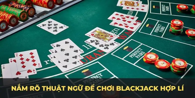 23wim c1 gà chọi