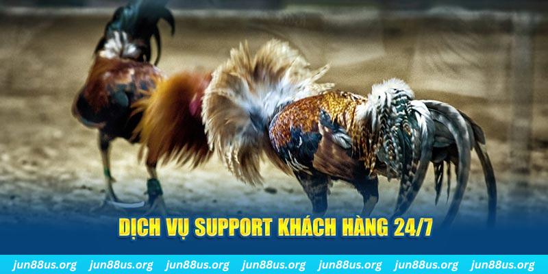 23wim ÁT CHỦ BÀI GIÀNH LẤY ZHUANG NIUNIU ( XEM 4 LÁ )