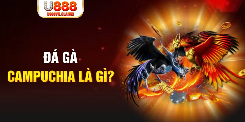 23wim bắn cá vàng h5