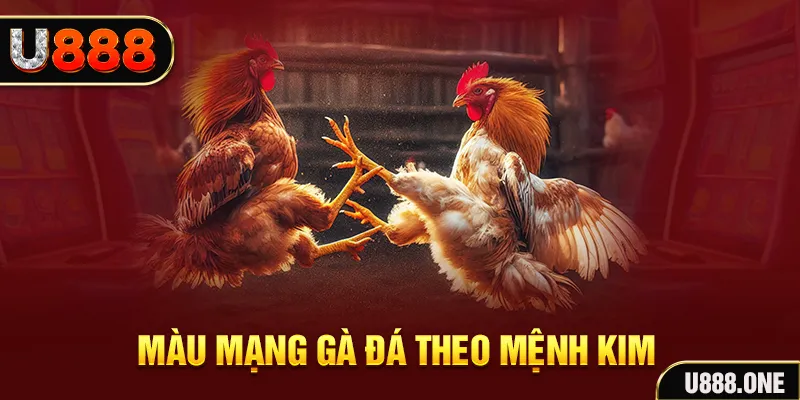 23wim Cỡ bảy