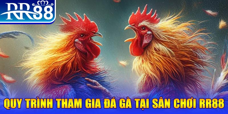 23wim đá gà cam 67