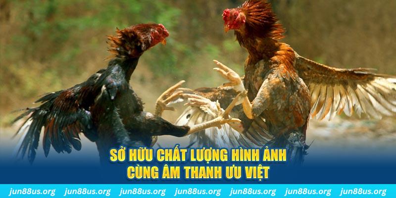 23wim PP Điện Tử