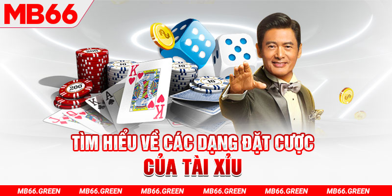 23wim what is a virtual casino