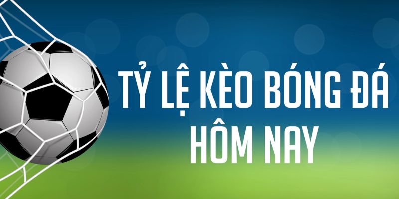23wim gà chọi c1 mới nhất