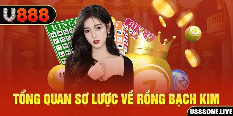 23wim hũ 8 bit nổ như thế nào