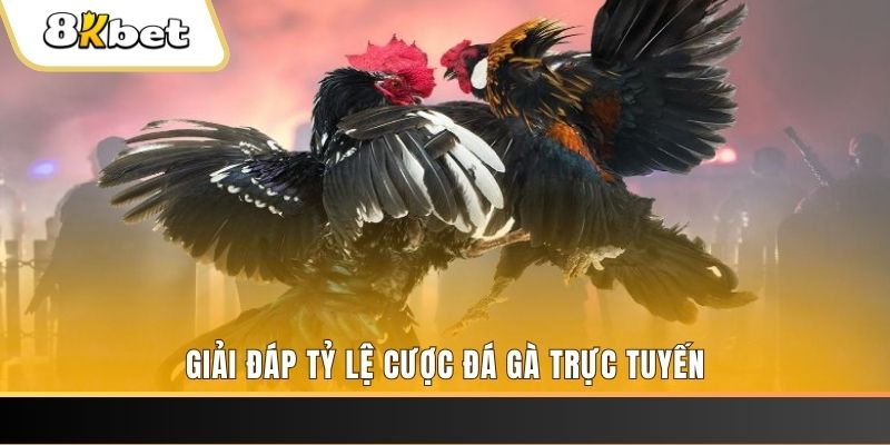 23wim xổ số đài miền trung