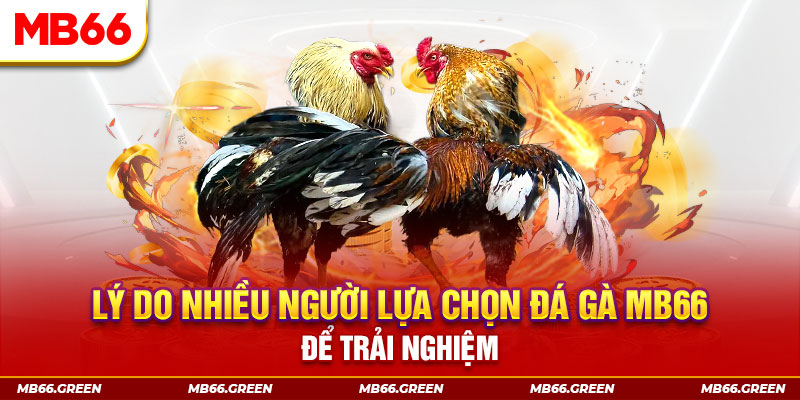 23wim xổ số miền bắc thứ bảy hàng tuần