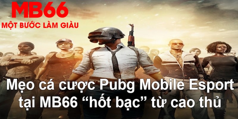 23wim VA Bắn cá
