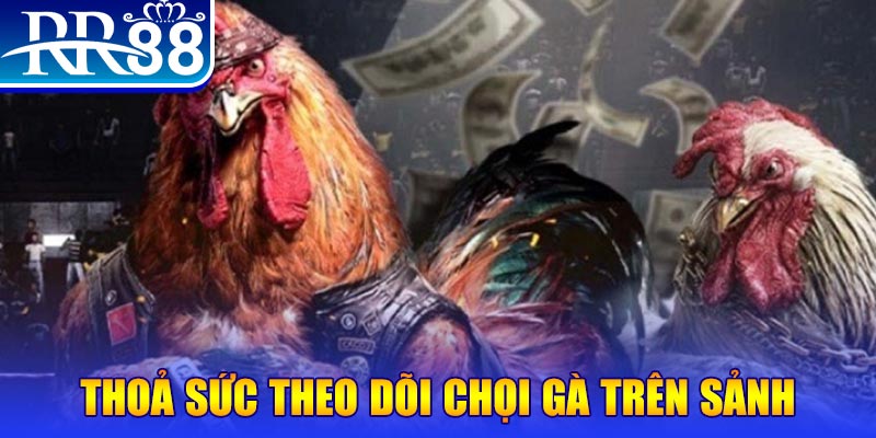 trực tiếp đá gà c1