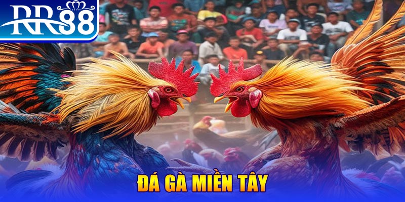 23wim no hu doi thuong ai